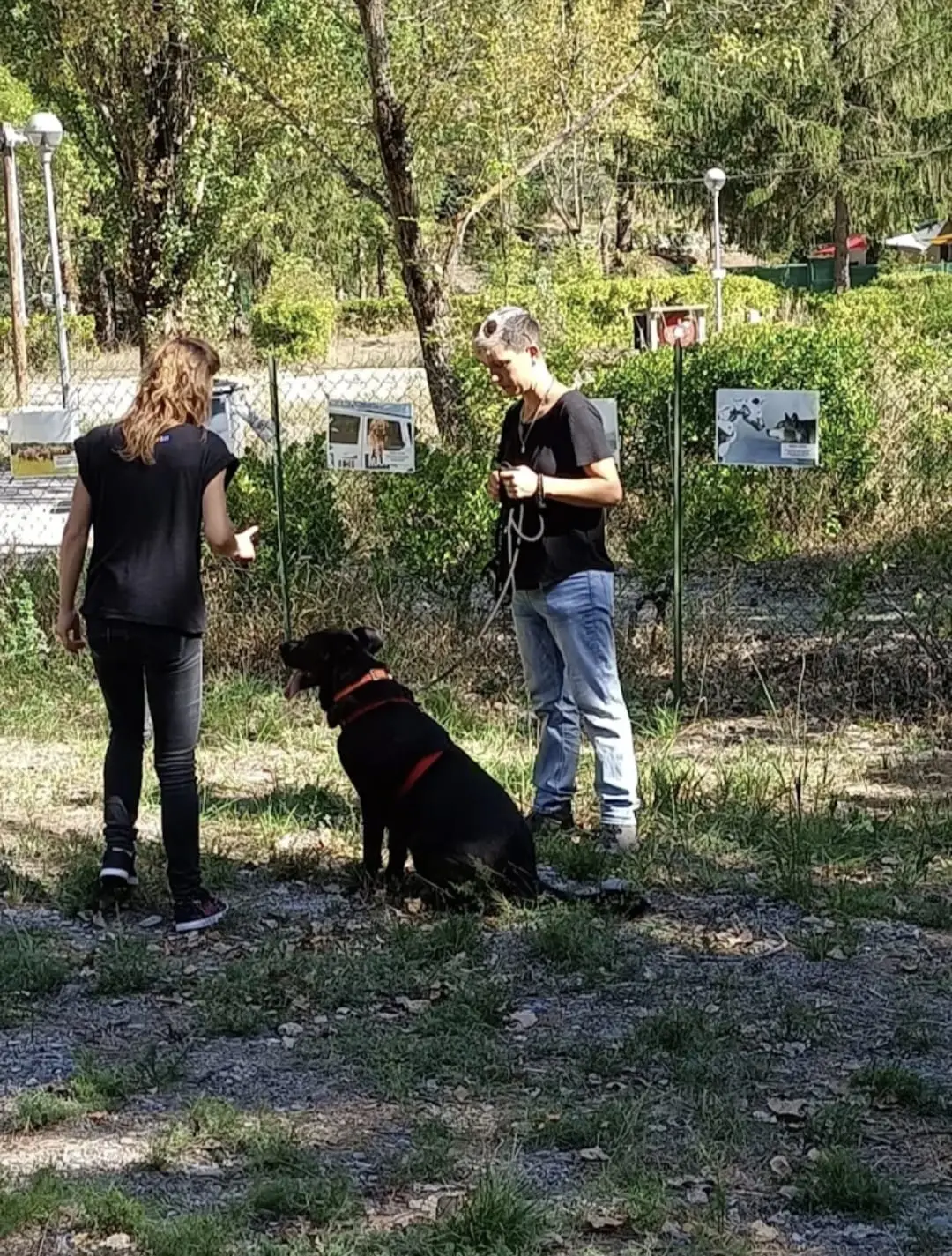 Séance d'éducation : une propriétaire et son chien noir guidés pendant un exercice