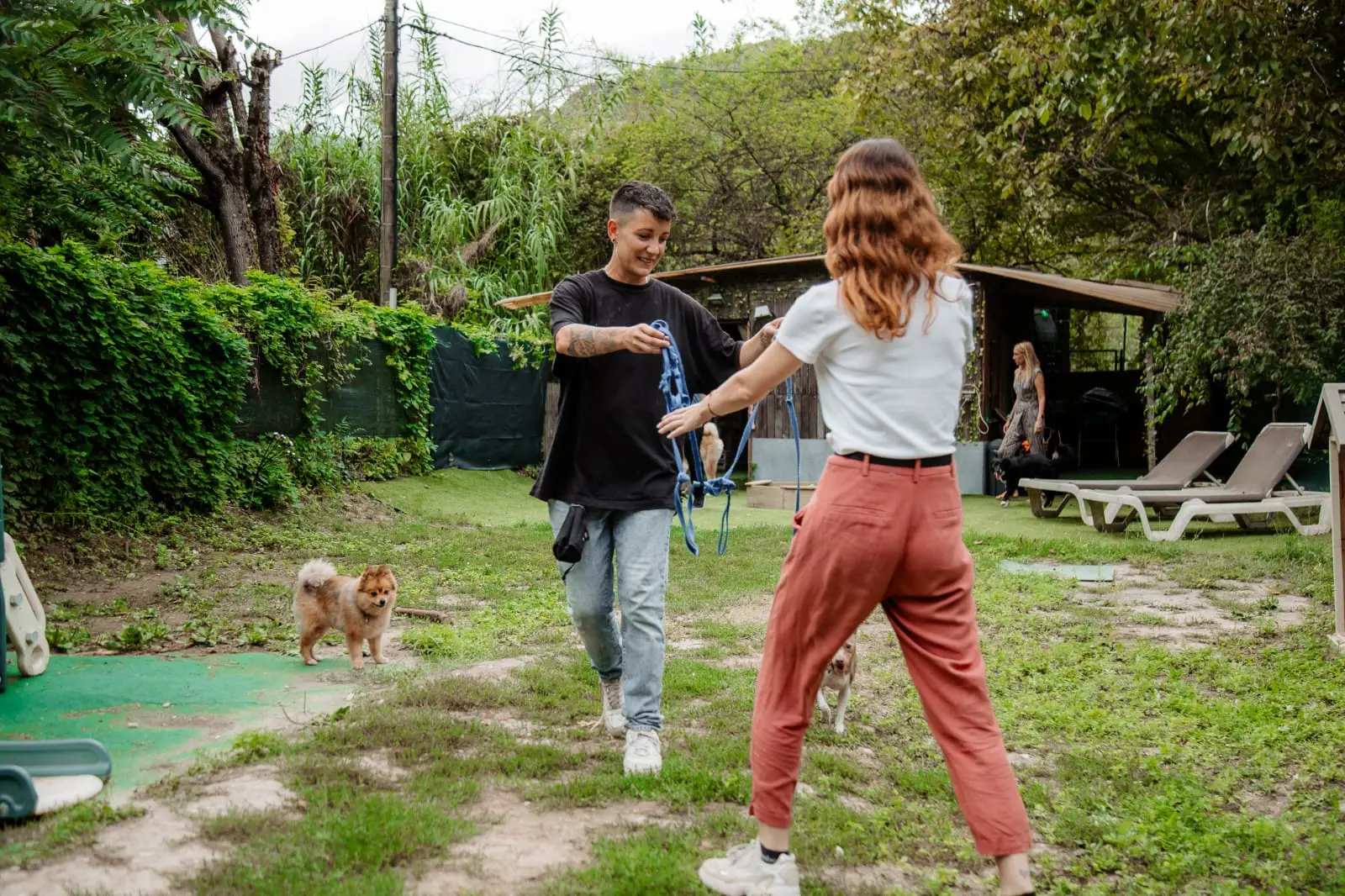 Conseils à une propriétaire sur le terrain, avec un spitz en arrière-plan